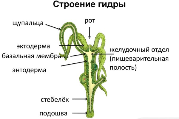 Блэк спрут ссылки blacksprut adress com